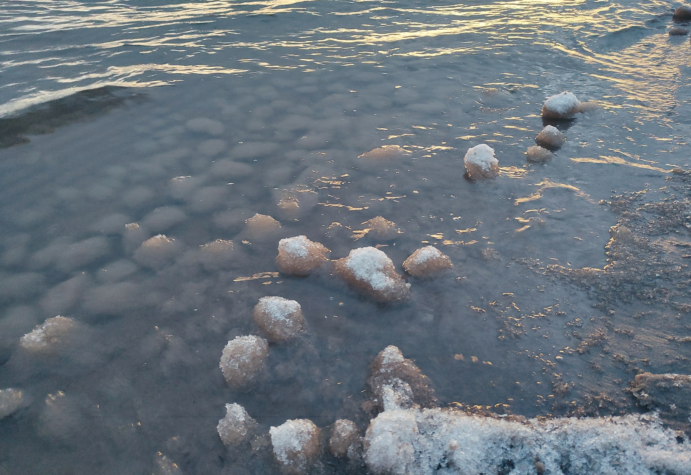 Саратовцы заметили на пляже таинственные шары